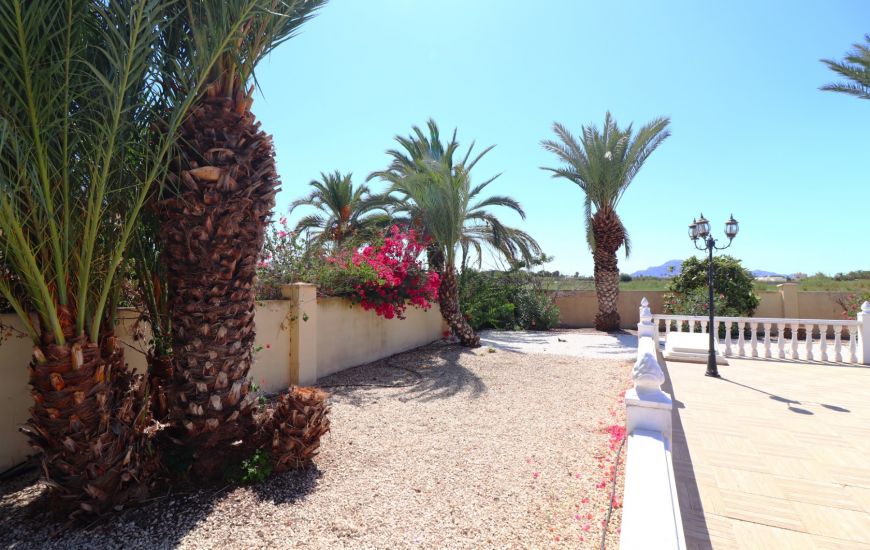 Sale - Finca - Catral