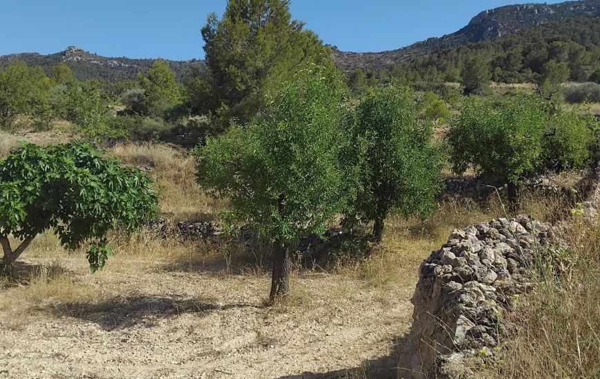 Venta - Adosado - La Romana
