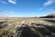 Venta - Terreno - Novelda