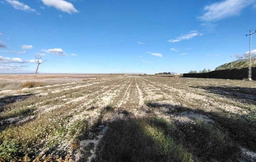 Venta - Terreno - Novelda