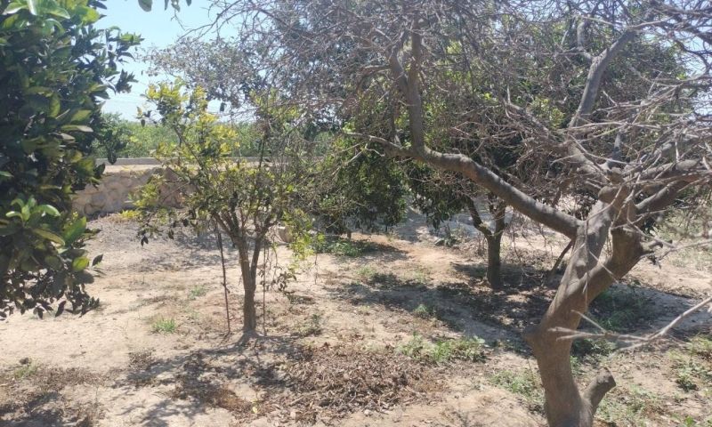 Sale - Apartments - Rojales