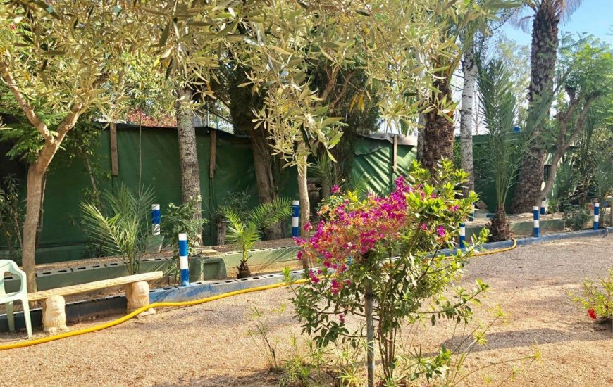 Venta - Villa - Crevillente - Crevillent