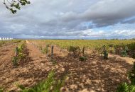 Venta - Comercial - Albacete