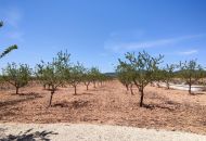 Venta - Casa Rural - Pinoso