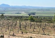 Sale - Apartments - Yecla