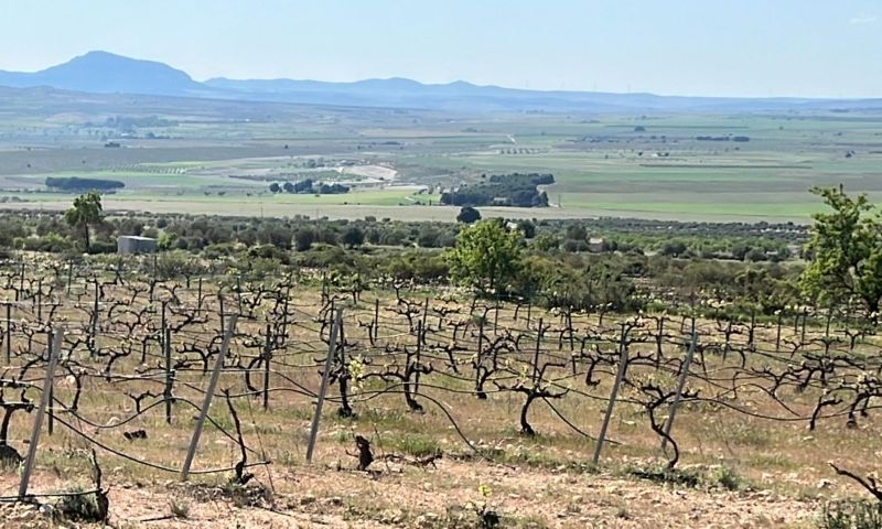 Sale - Apartments - Yecla