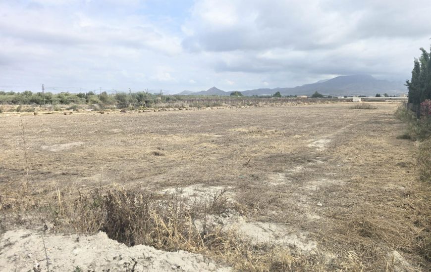 Sale - Land - Aspe