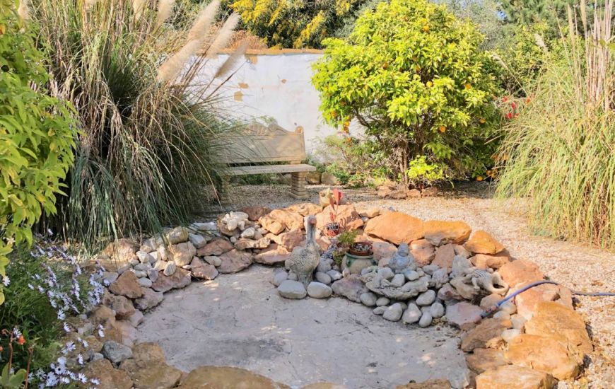 Sale - Finca - Los Montesinos