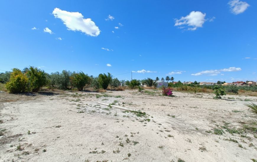 Sale - Finca - Abanilla