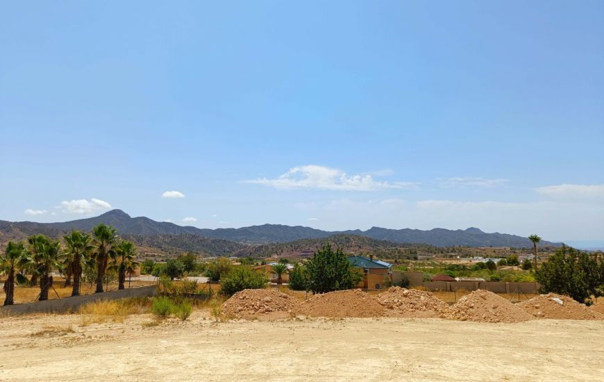 Sale - Finca - Macisvenda