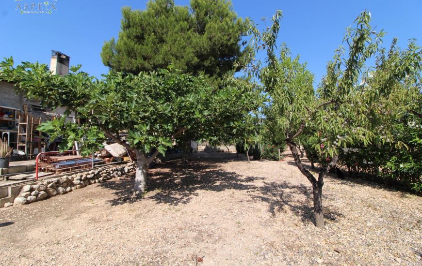Venta - Casa Rural - Aspe