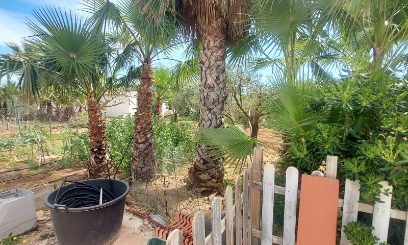 Venta - Villa - Hondón de las Nieves