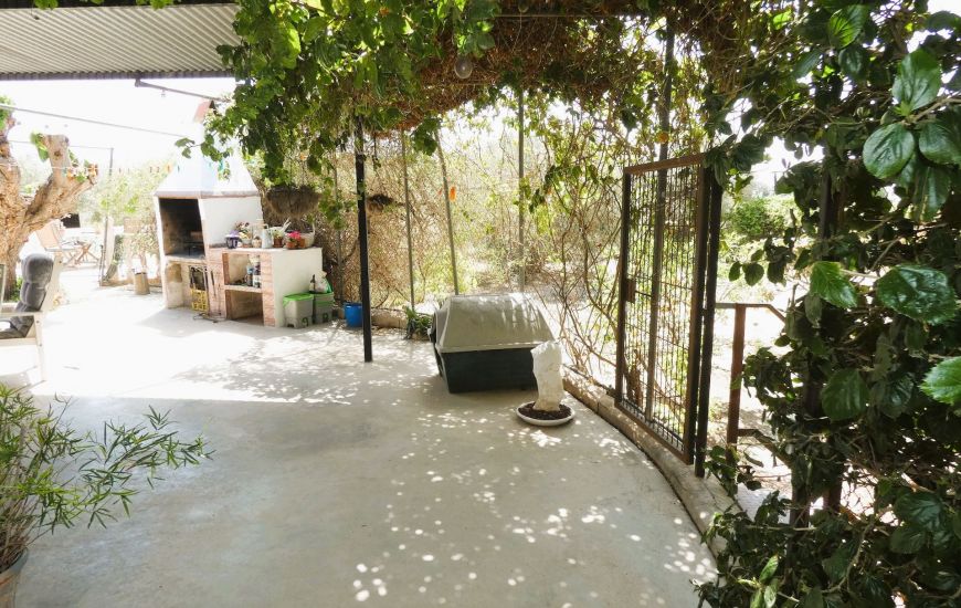 Sale - Finca - Dolores