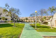 Venta - Apartamentos - Orihuela Costa