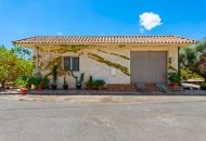 Sale - Country estate - Elche/Elx