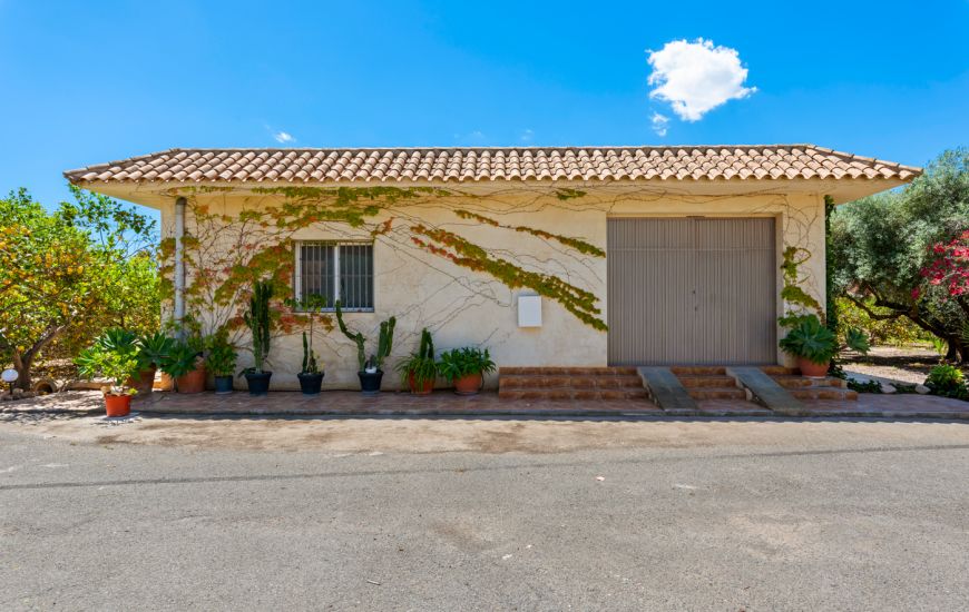 Sale - Country estate - Elche/Elx