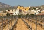 Venta - Bungalow - Hondón de las Nieves