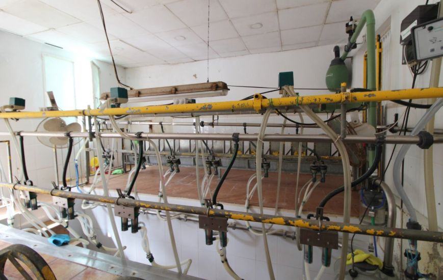 Venta - Casa Rural - Aspe pedanias