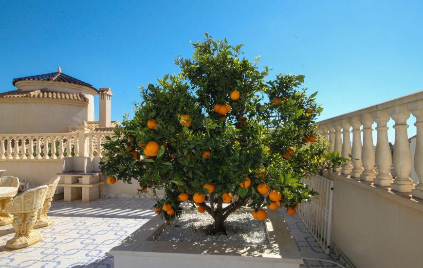 Venta - Villa - Orihuela Costa