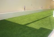 Venta - Apartamentos - 