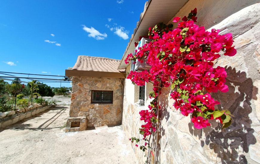 Sale - Finca - Abanilla