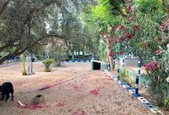 Venta - Villa - Crevillente - Crevillent