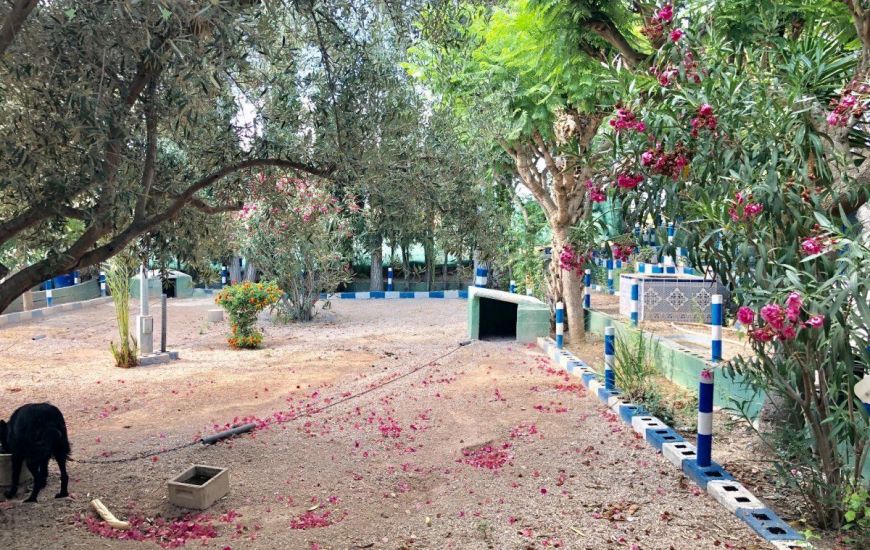 Venta - Villa - Crevillente - Crevillent