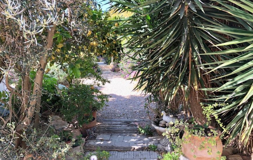 Sale - Finca - Los Montesinos