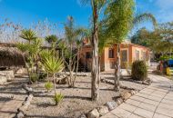 Venta - Casa Rural - Catral