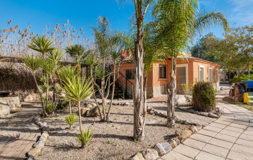 Venta - Casa Rural - Catral