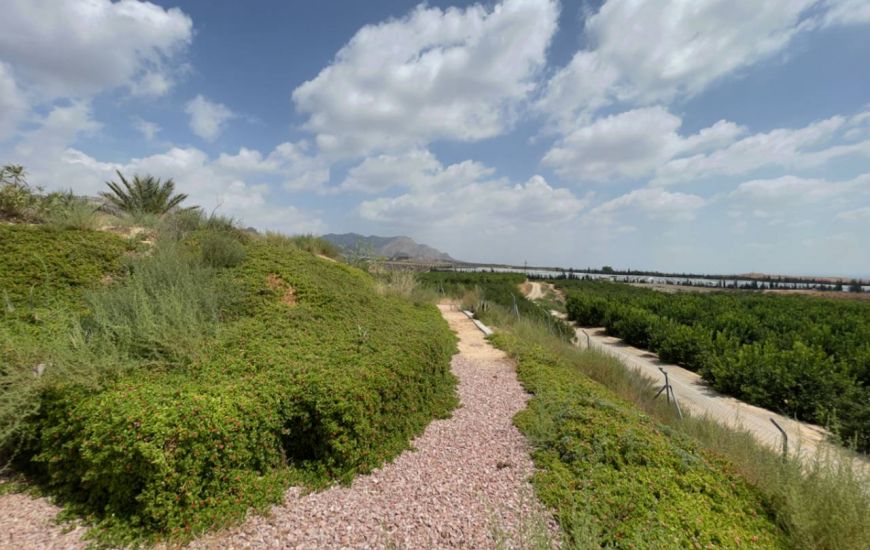 Venta - Casa Rural - Orihuela