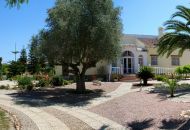 Sale - Finca Country Property - Daya Vieja