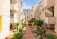 Sale - Apartments - Torrevieja