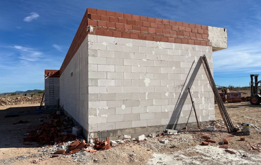 Nueva construcción  - Casa Rural - Pinoso