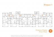 Nueva construcción  - Apartamentos - San Miguel de Salinas - San Miguel De Salinas