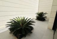 Venta - Apartamentos - 