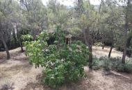 Venta - Villa - Siete Aguas