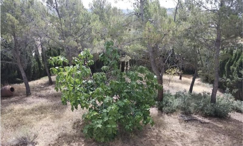 Venta - Villa - Siete Aguas