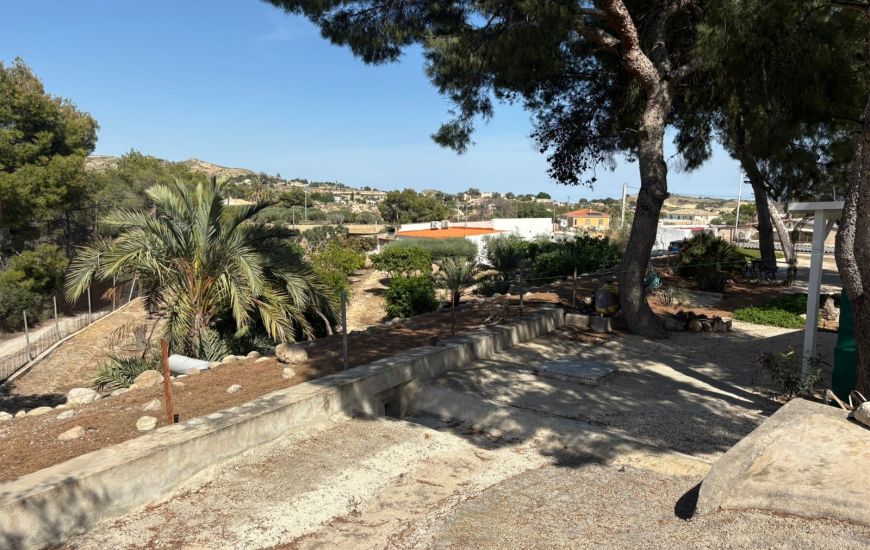 Sale - Finca - Elche