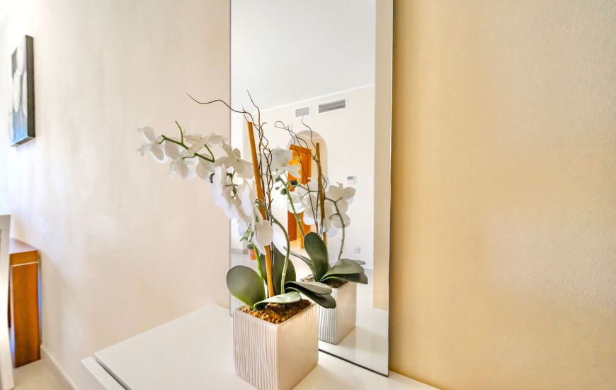 Venta - Apartamentos - Ciudad Quesada