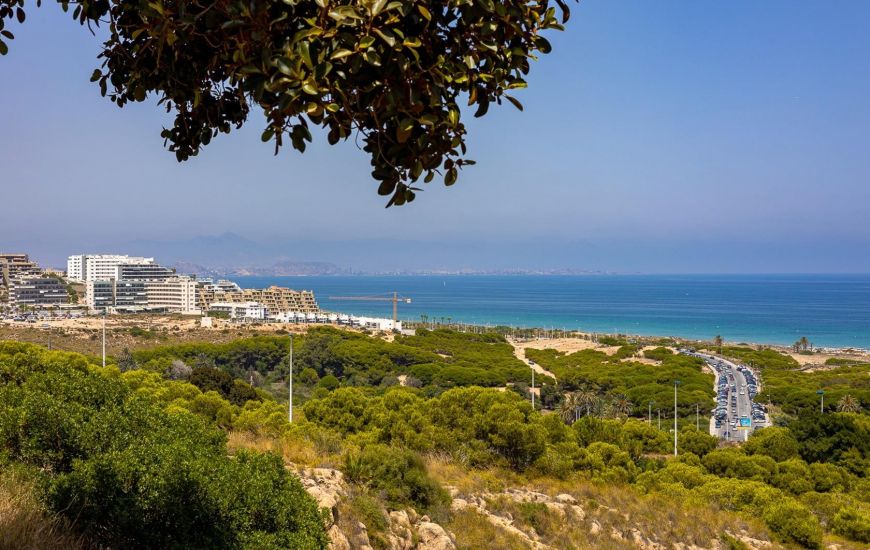 Nueva construcción  - Apartamentos - Arenales del Sol