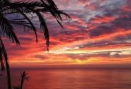 New Build -  - Torrevieja - 