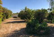 Sale - Finca - Los Montesinos