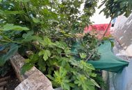 Sale - Casa - Benejúzar - Benejuzar