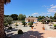 Sale - Villa - Daya Nueva