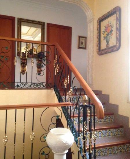 Sale - Finca - Sax