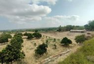 Sale - Villa - 