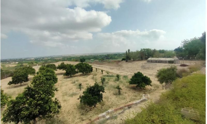Sale - Villa - 