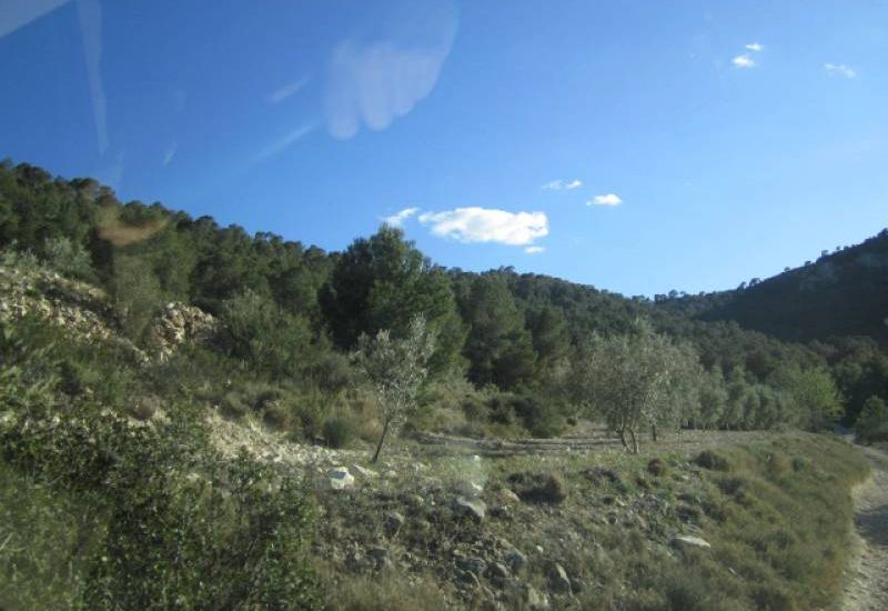 Venta - Casa Rural - Salinas