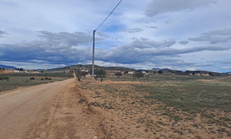 Venta - Terreno - Jumilla